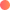 brandshipmedia