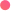 brandshipmedia