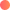 brandshipmedia