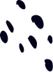 brandshipmedia